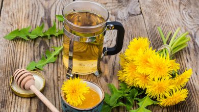 گل قاصدک برای لاغری