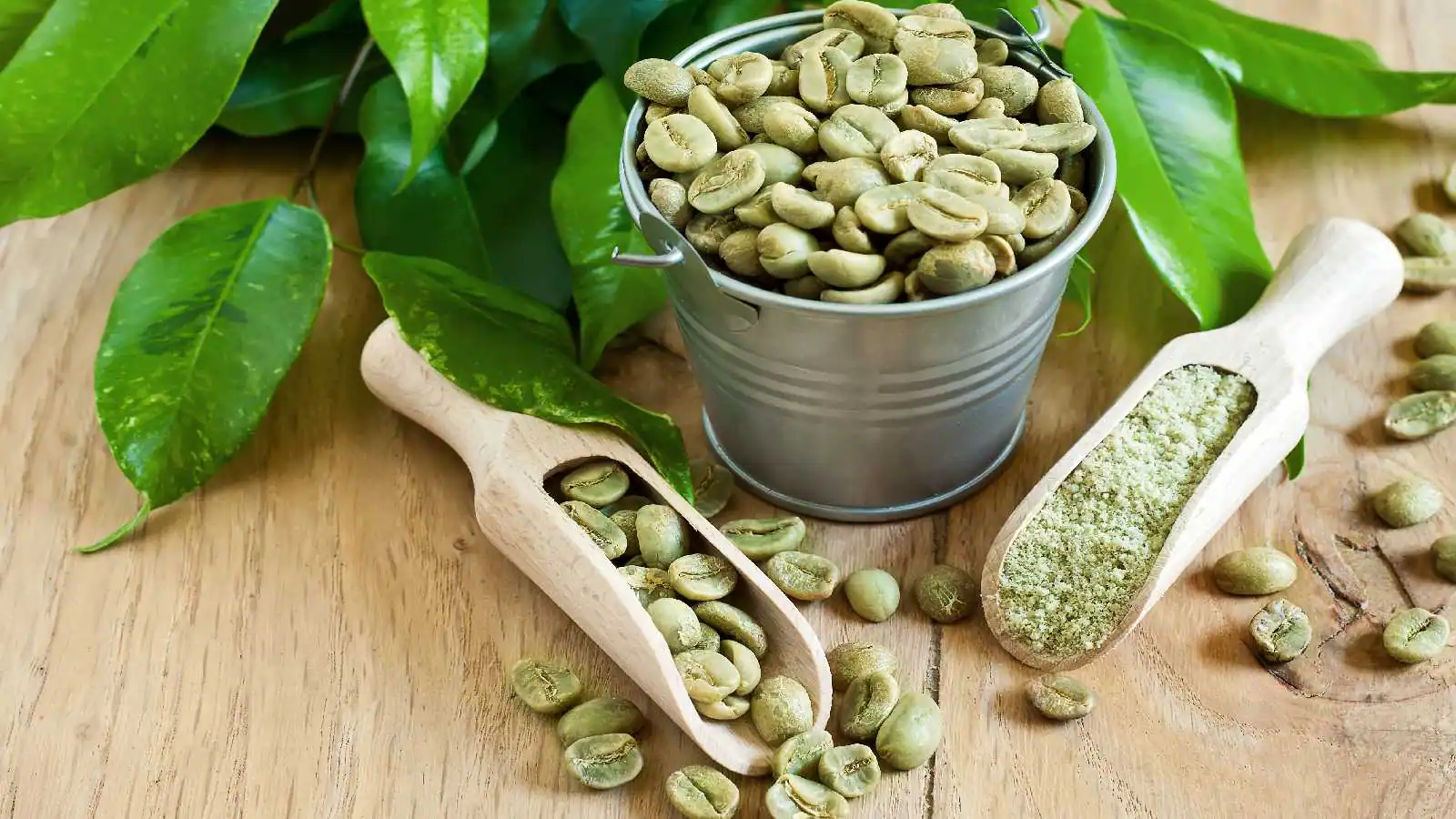 اجزای اصلی قهوه سبز