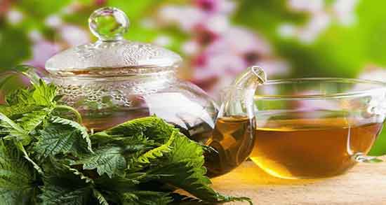 چای پونه کوهی برای کاهش وزن
