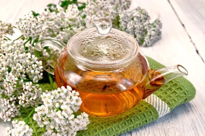 مراقبت از بوماداران