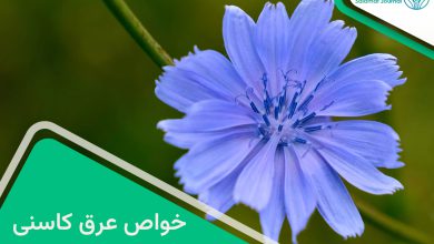 خواص عرق کاسنی