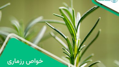 خواص رزماری