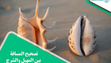 تصحيح المسافة بين المهبل والشرج